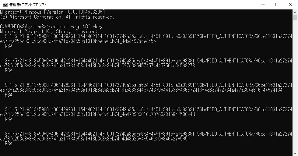 コマンド実行画面